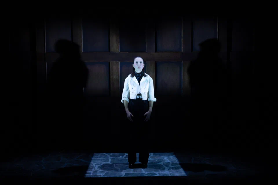 A performer stands in darkness with a large projected face behind her.